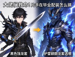 大佬们救命！片手剑毕业配装怎么搞？黑蚀龙套和护雷颚龙套选哪个？