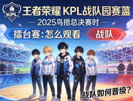 王者荣耀KPL战队赛程,2025鸟巢总决赛时间,擂台赛怎么观看,战队如何晋级？