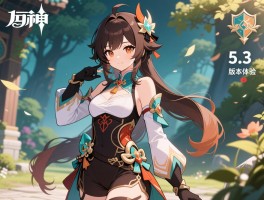 原神私服5.3版本体验如何,与官方服有什么区别,安全风险有哪些