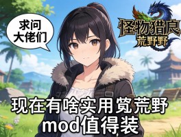 求问大佬们，《怪物猎人荒野》现在有啥实用的mod值得装？