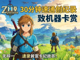 荒野之息30分钟速通创纪录致机器卡顿