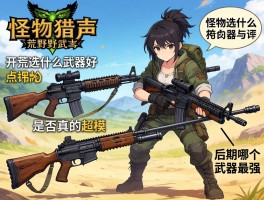 怪物猎人荒野武器点评：开荒选什么武器好,铳枪是否真的超模,后期哪个武器最强