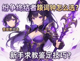 纷争终结者紫装词缀怎么选？新手求教鉴定技巧