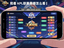 王者荣耀kpl联赛赛程怎么看丨手机如何观看,哪里查时间,战队分组情况